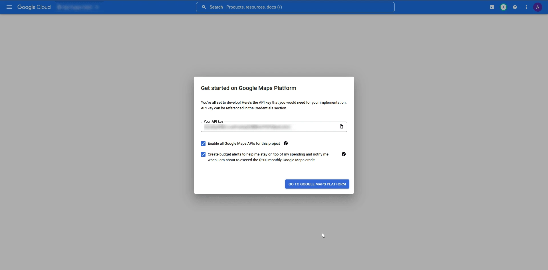 Google Maps Platform showing the new API key