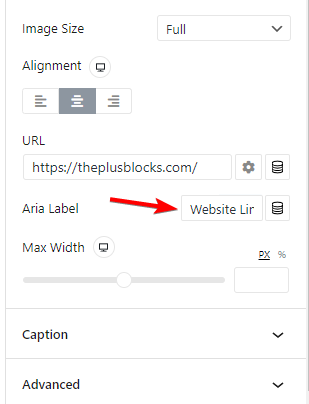 ARIA Accessiblity In WordPress 1