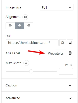 ARIA Accessiblity In WordPress 1