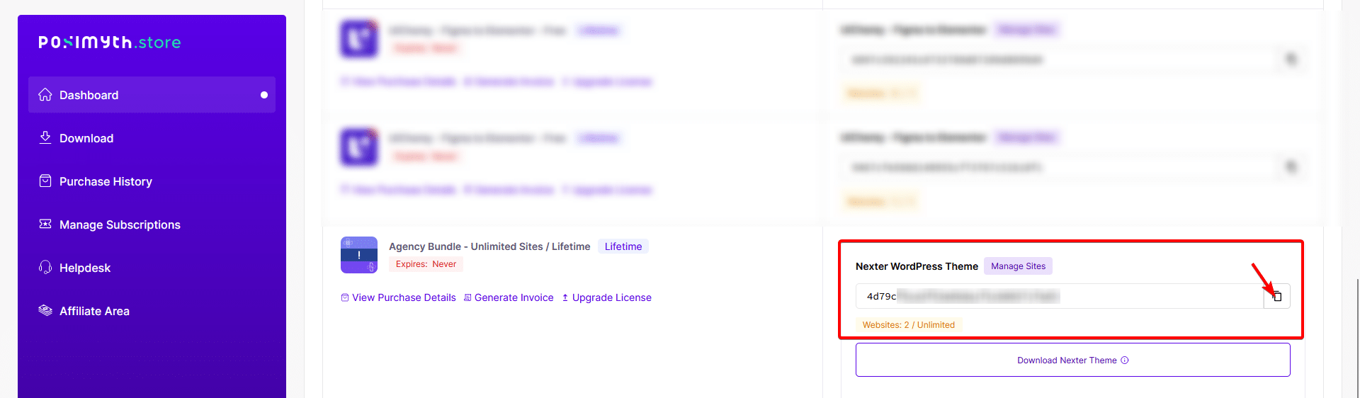How to Install & Activate Nexter Pro? 16 nexter theme store manage site