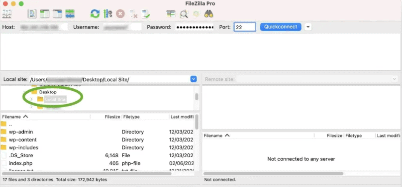 How to Migrate WordPress Site Local to Live Server Website Domain 2 Filezilla