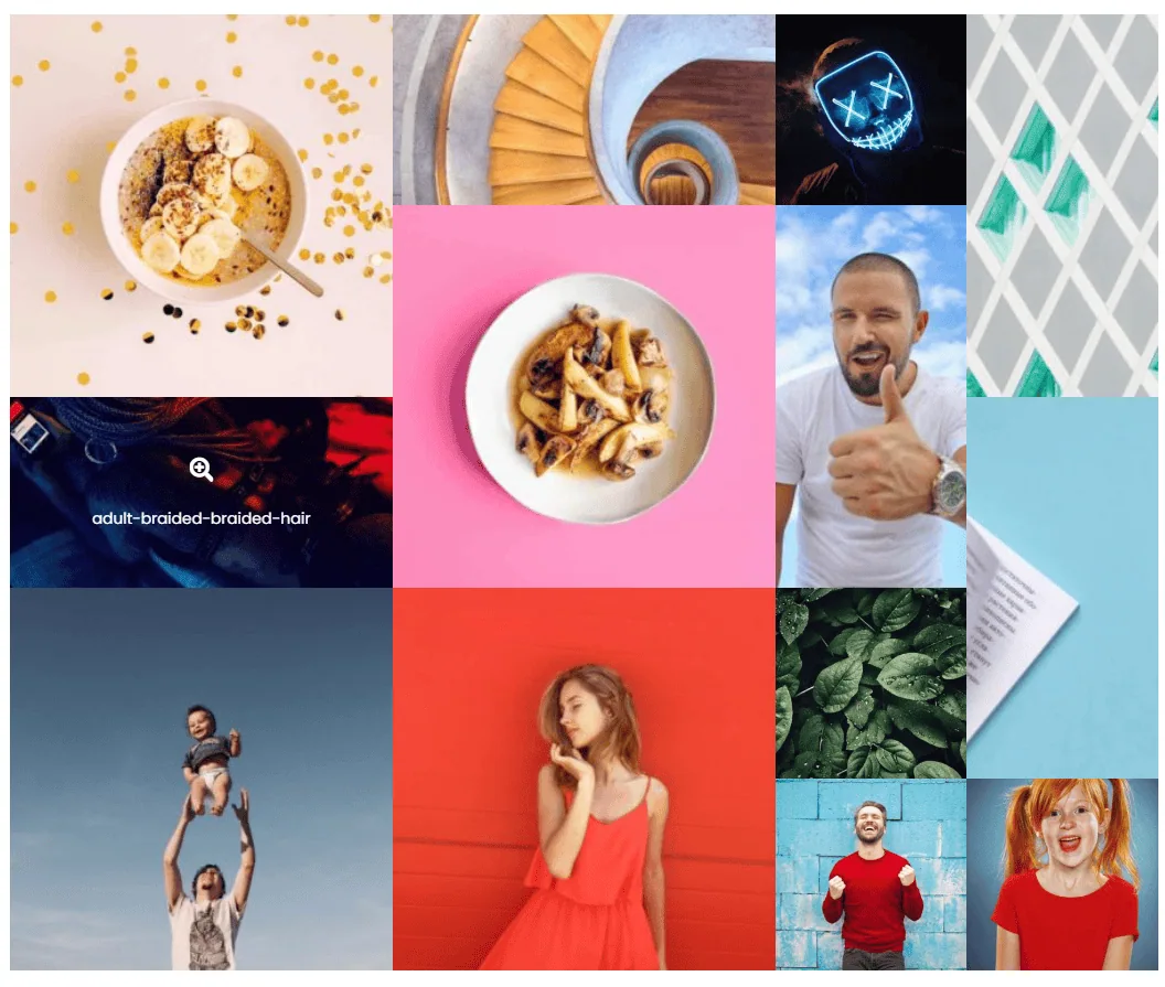 6 Best Photo Image Gallery WordPress Plugins 8 Image Gallery Masonry Layout