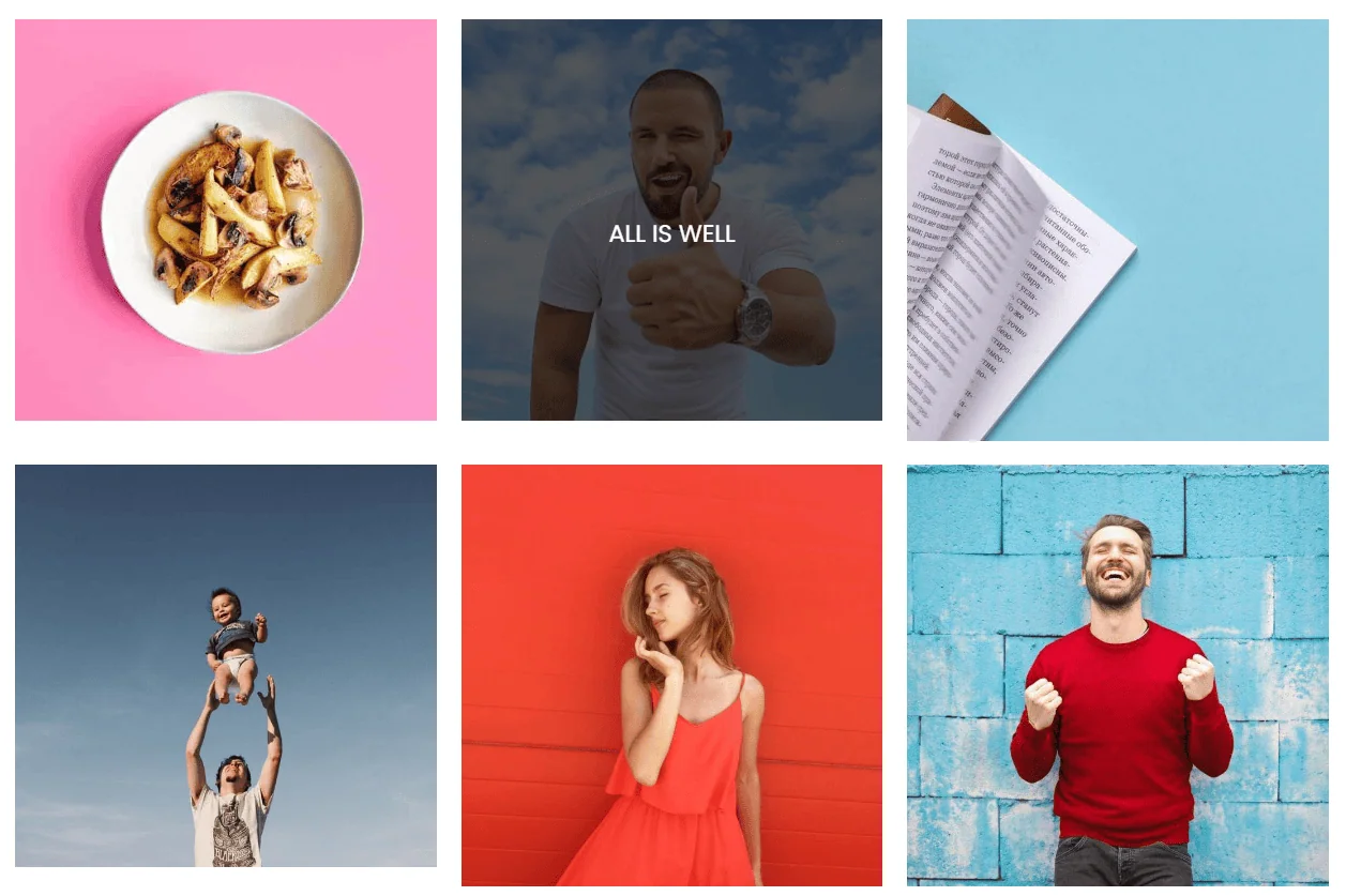 6 Best Photo Image Gallery WordPress Plugins 5 Image Gallery in WordPress