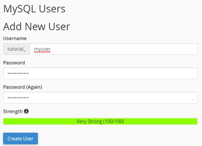 MySQL User