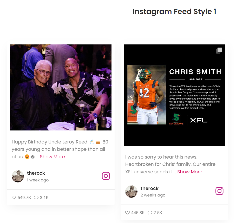 Instagram Feed 1