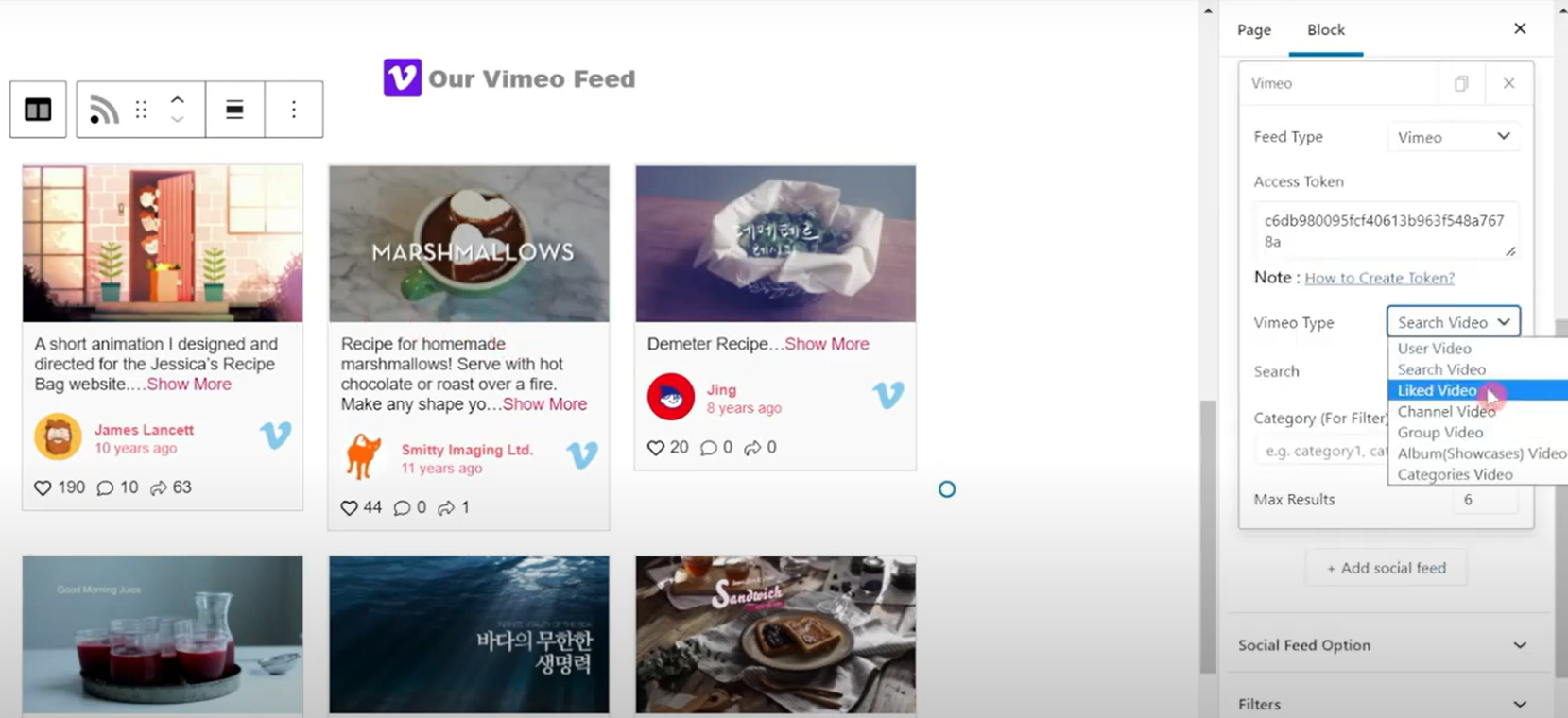 Vimeo Feed Type Options