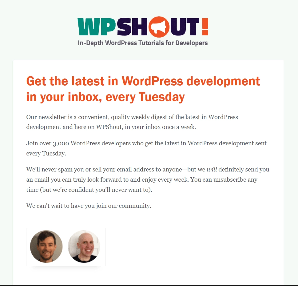 WPShout Newsletter 1 1