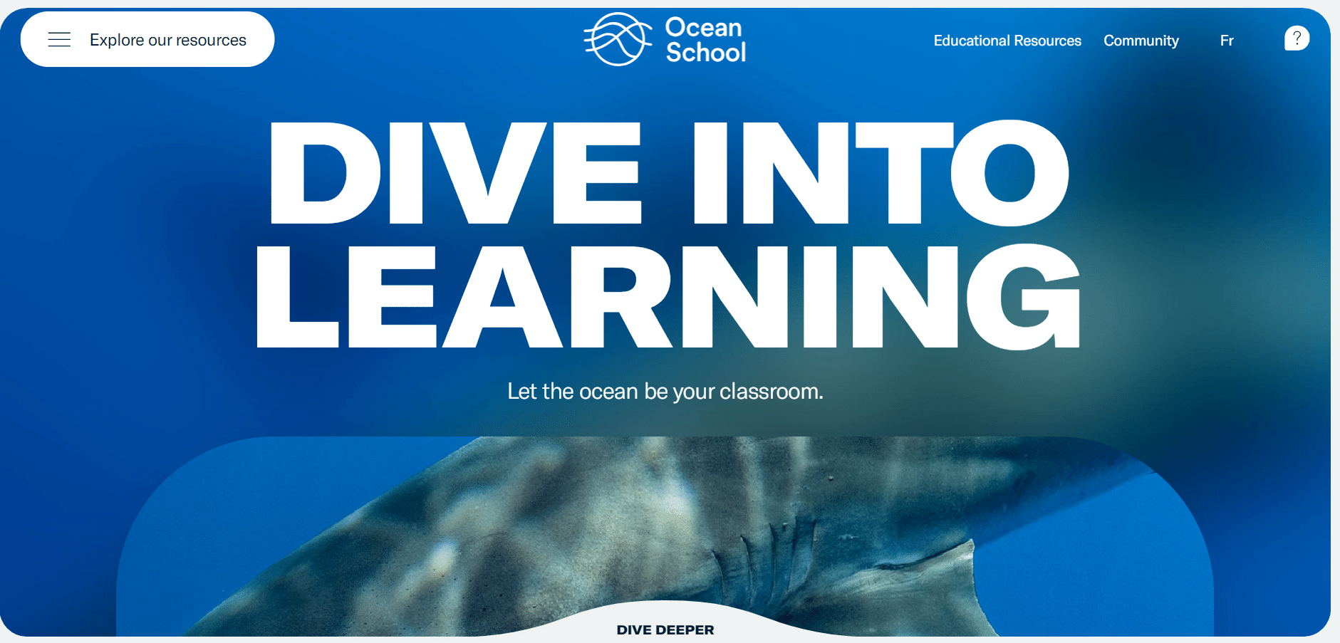 Ocean School - 10+ Best Interactive Websites [Top Examples]