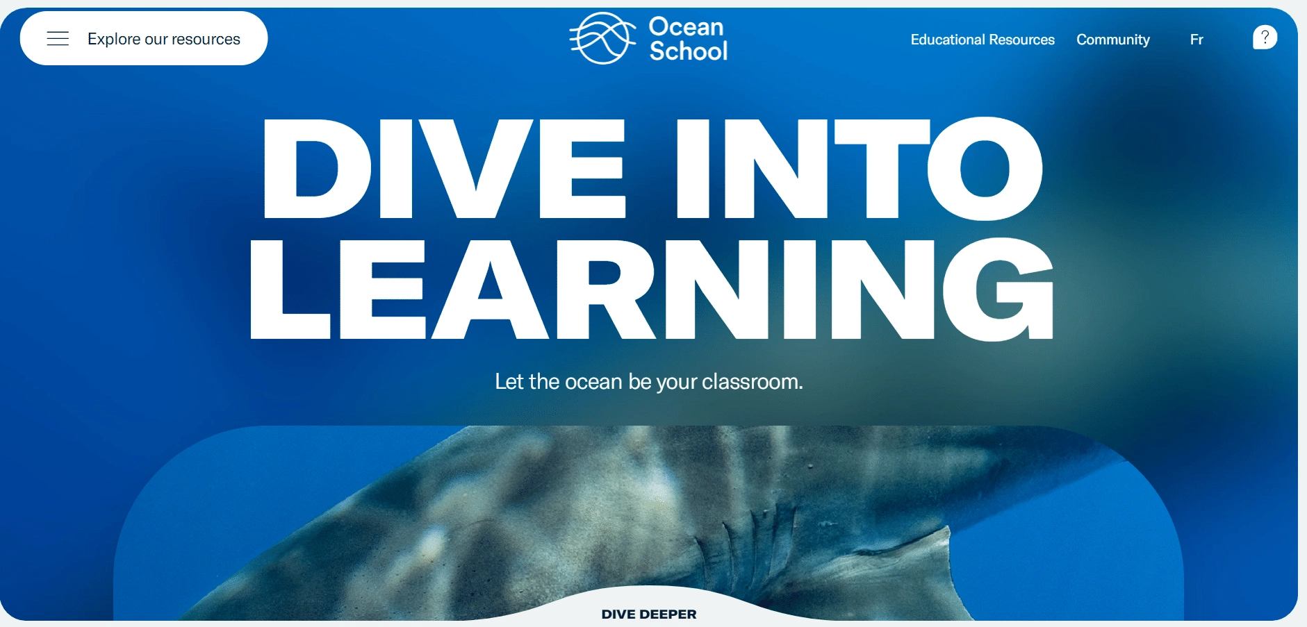 Ocean School - 10+ Best Interactive Websites [Top Examples]