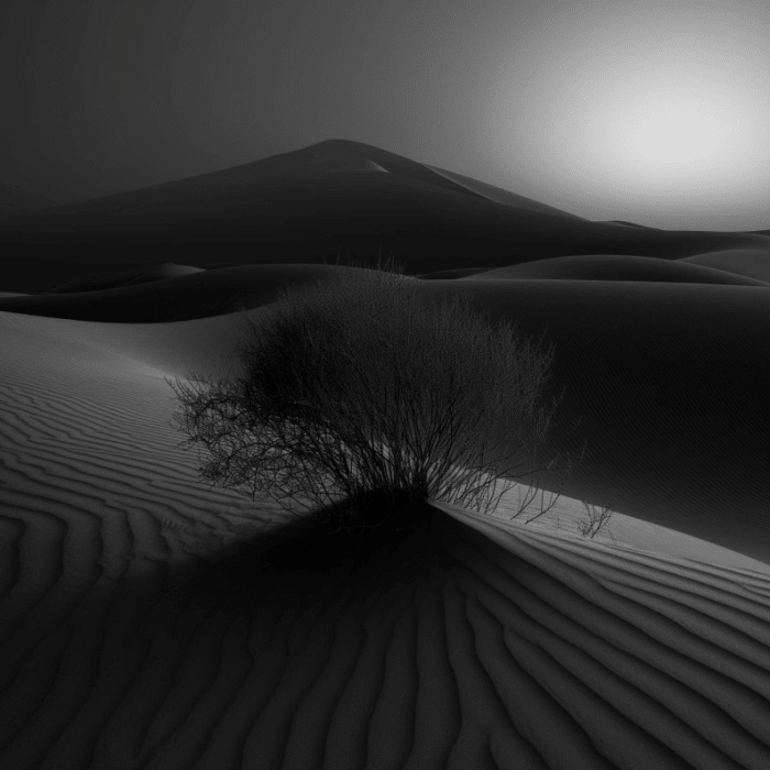 Slider demo four style five image three