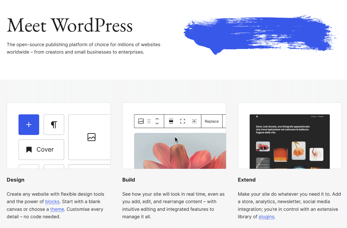 What is WordPress