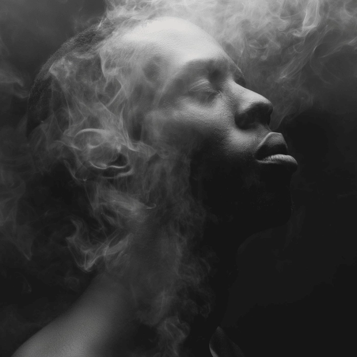 demo four style two image one