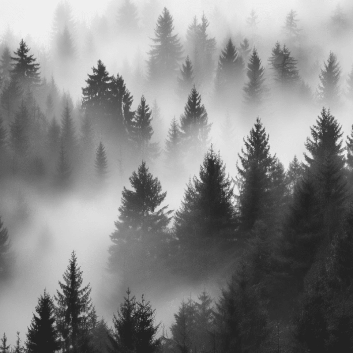 slider demo four style two