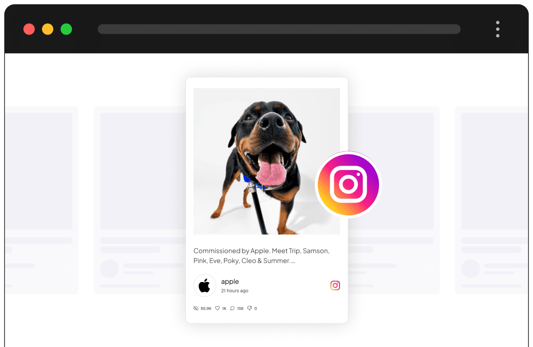 Instagram Feed
