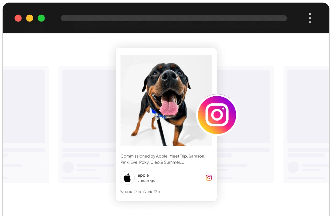 Social Feed for WordPress 2 Instagram Feed