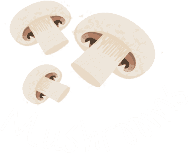 Magic Scrolling Animations For WordPress 26 Creative Image