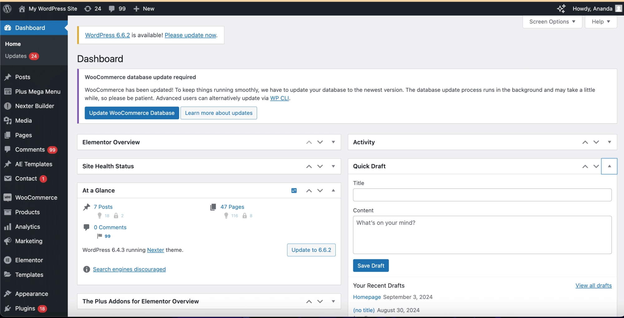 Custom WordPress Admin Dashboard 1