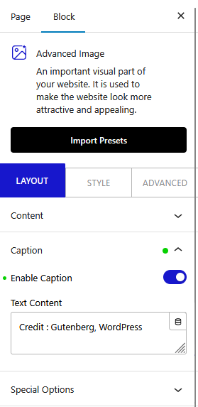 advanced image caption new