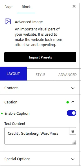 advanced image caption new