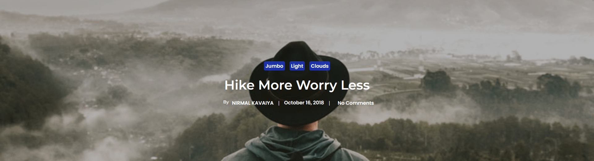 How to Show Post Image in WordPress Blog Post? 3 post image layout demo