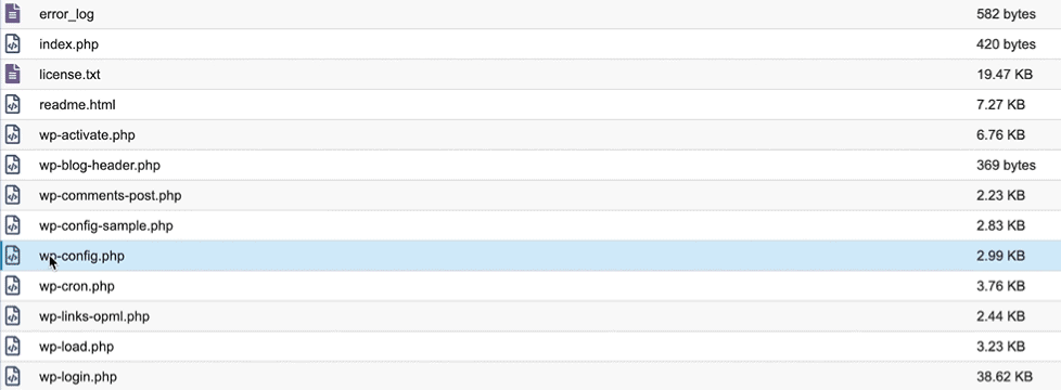 Navigate to the wp config php