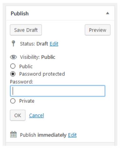 9 Ways to Protect Content in WordPress in 2025 4 Password Protection Image