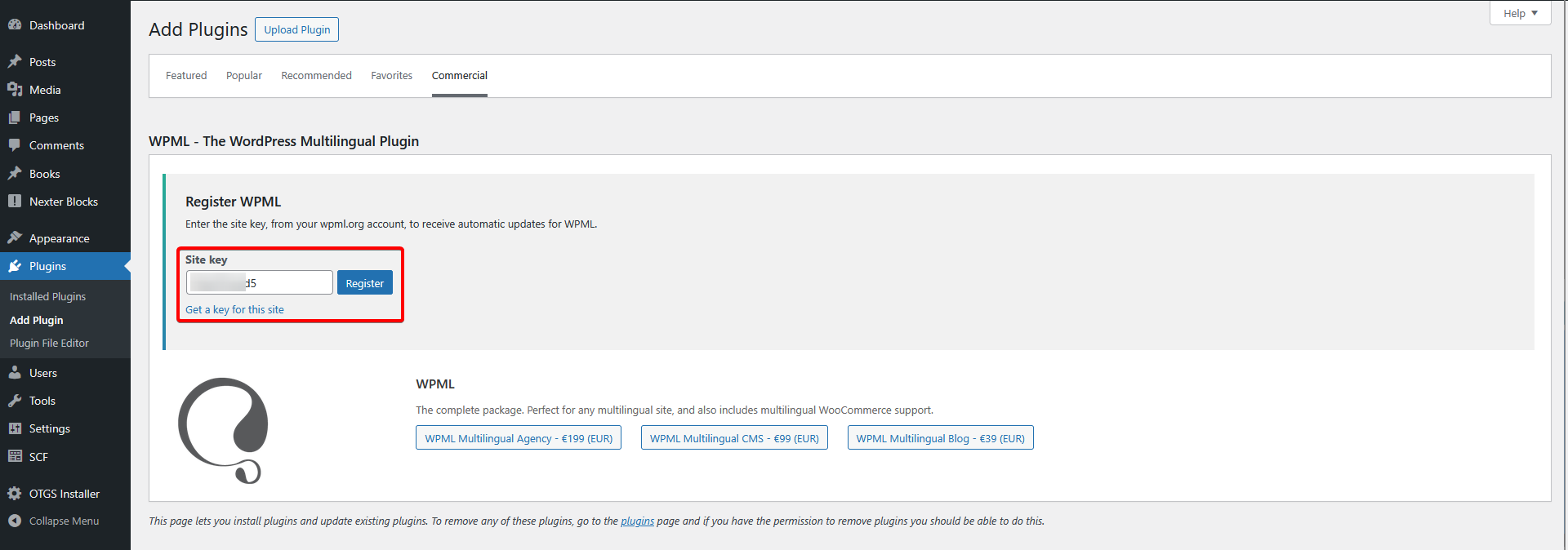 How to Create a Multilingual Website with Nexter Theme and WPML? 4 wpml add sitekey