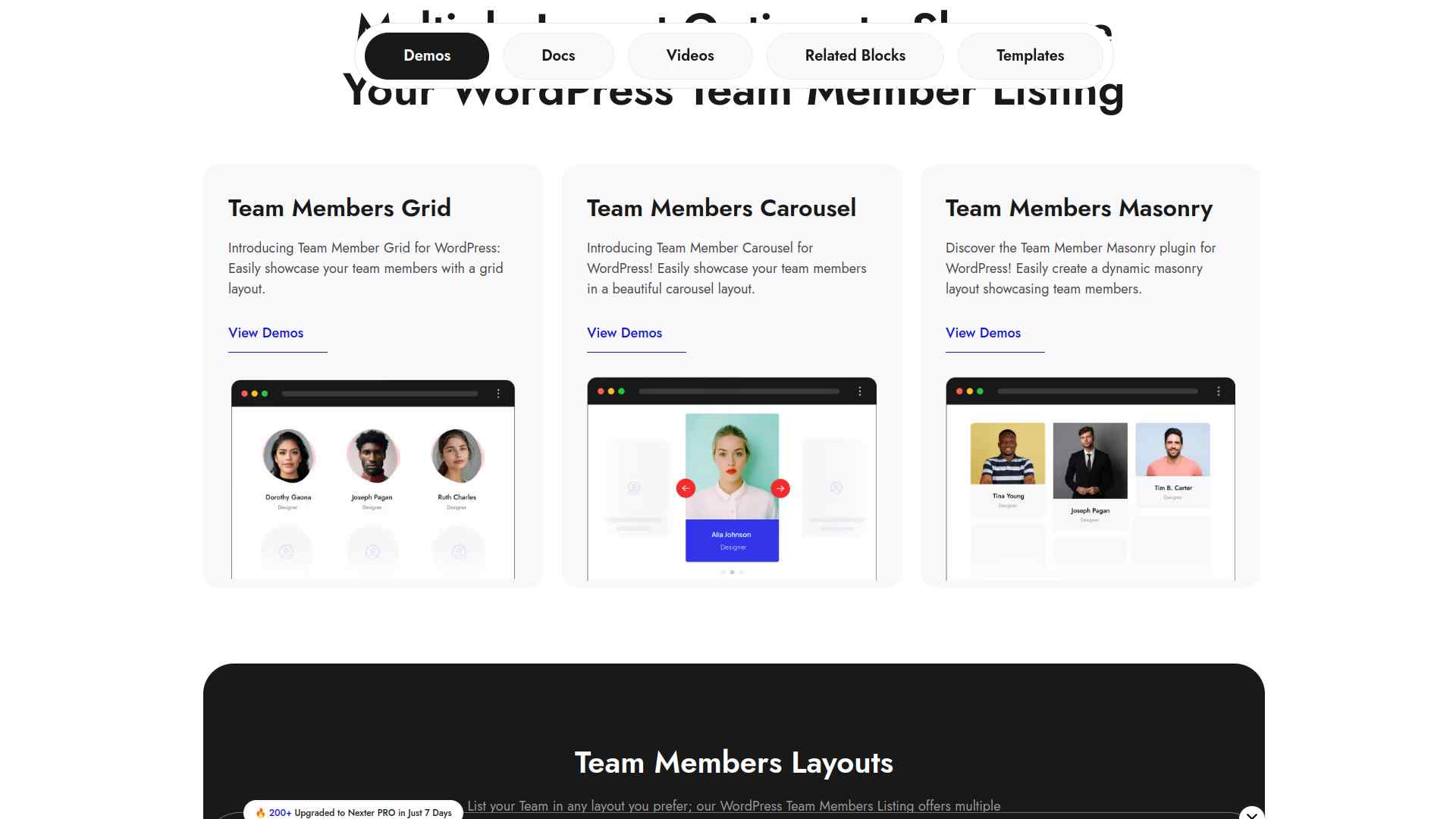 Team Member by Nexter Demo