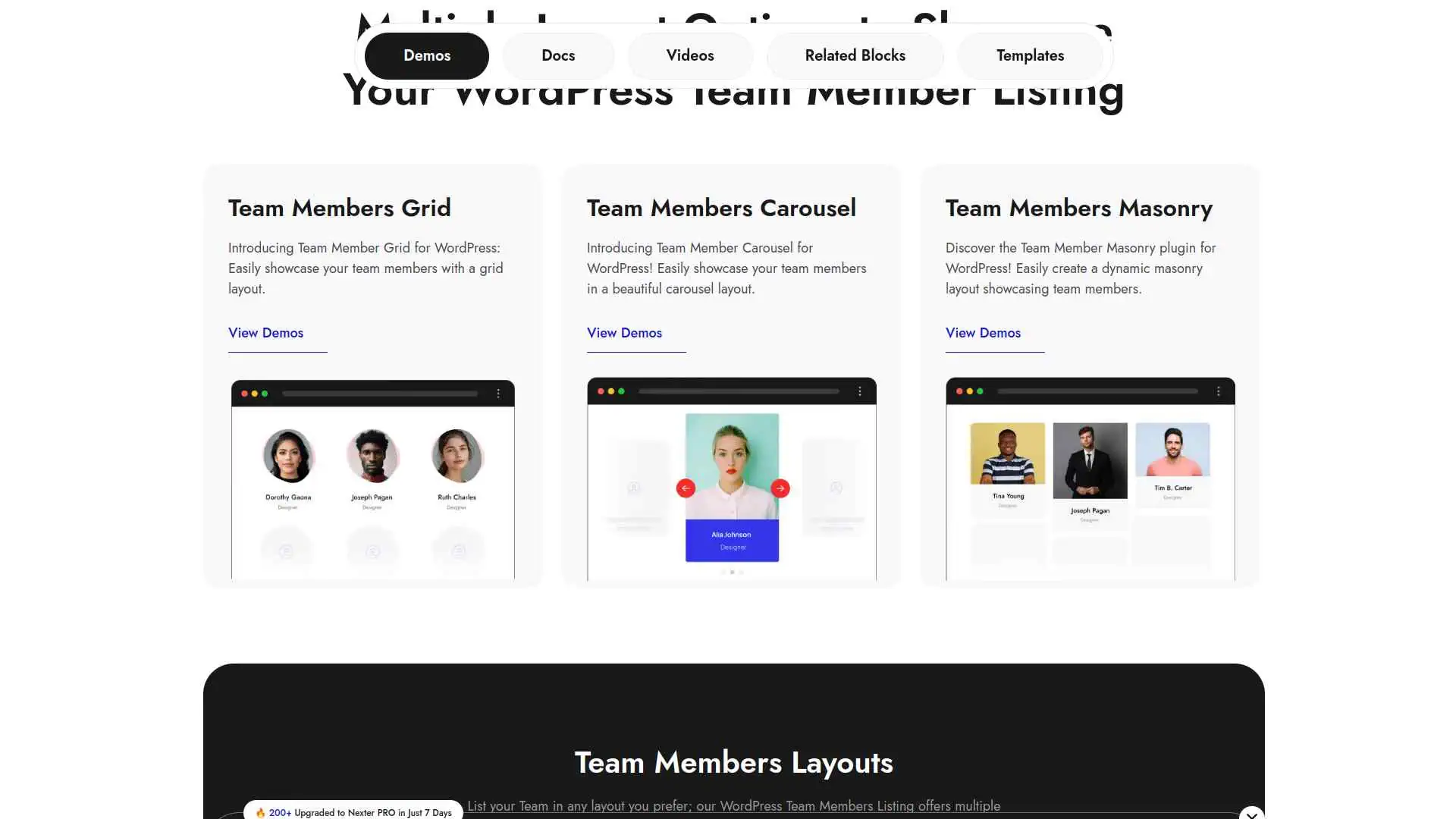 5 Best Team Member Plugins for WordPress Compared 6 Team Member by Nexter Demo