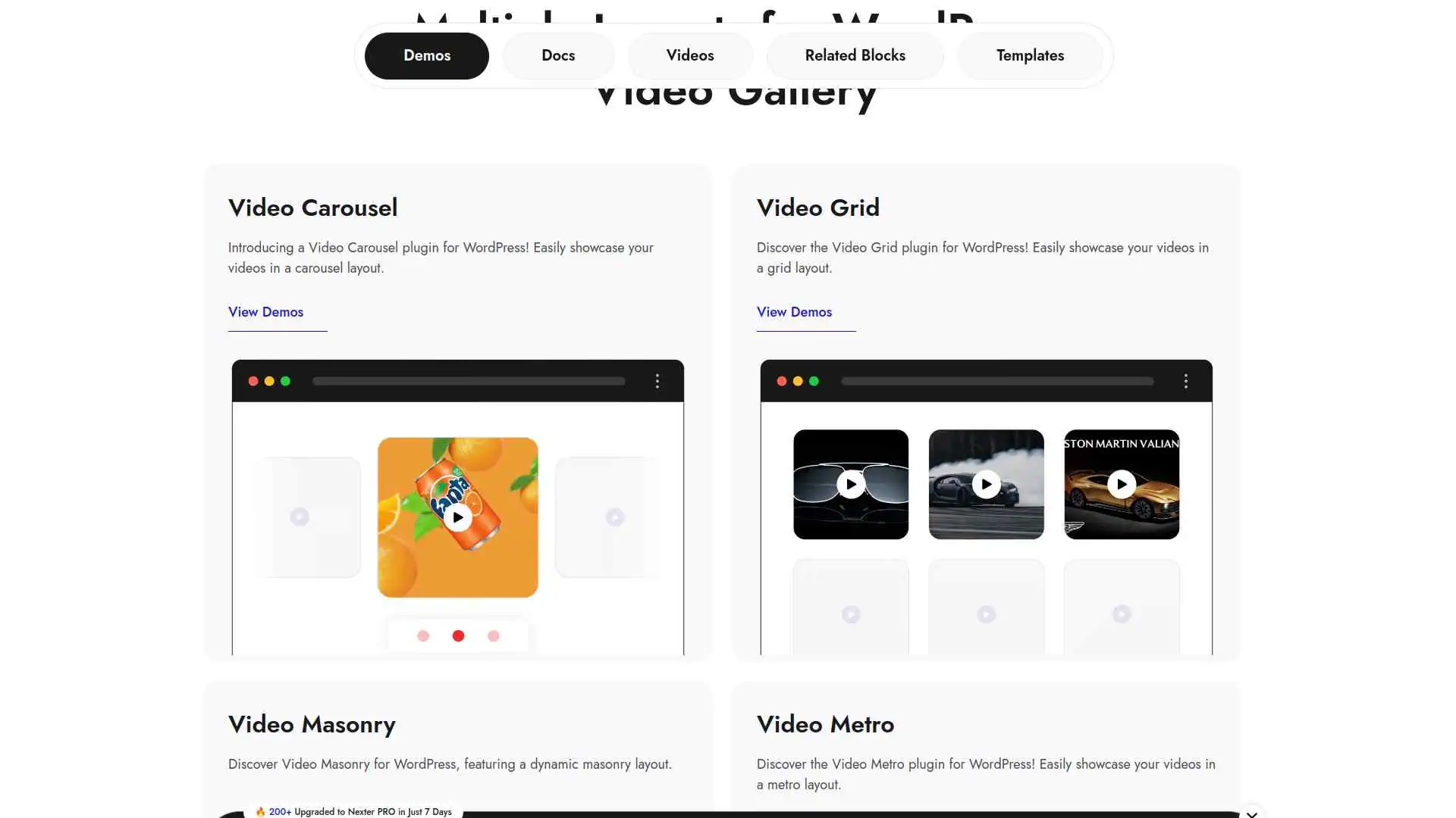Video Gallery by Nexter Demo