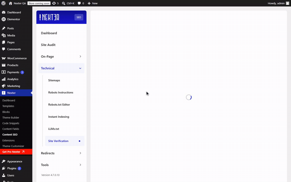 Nexter SEO Site Verification screen with Google, Bing, Pinterest, and Facebook fields