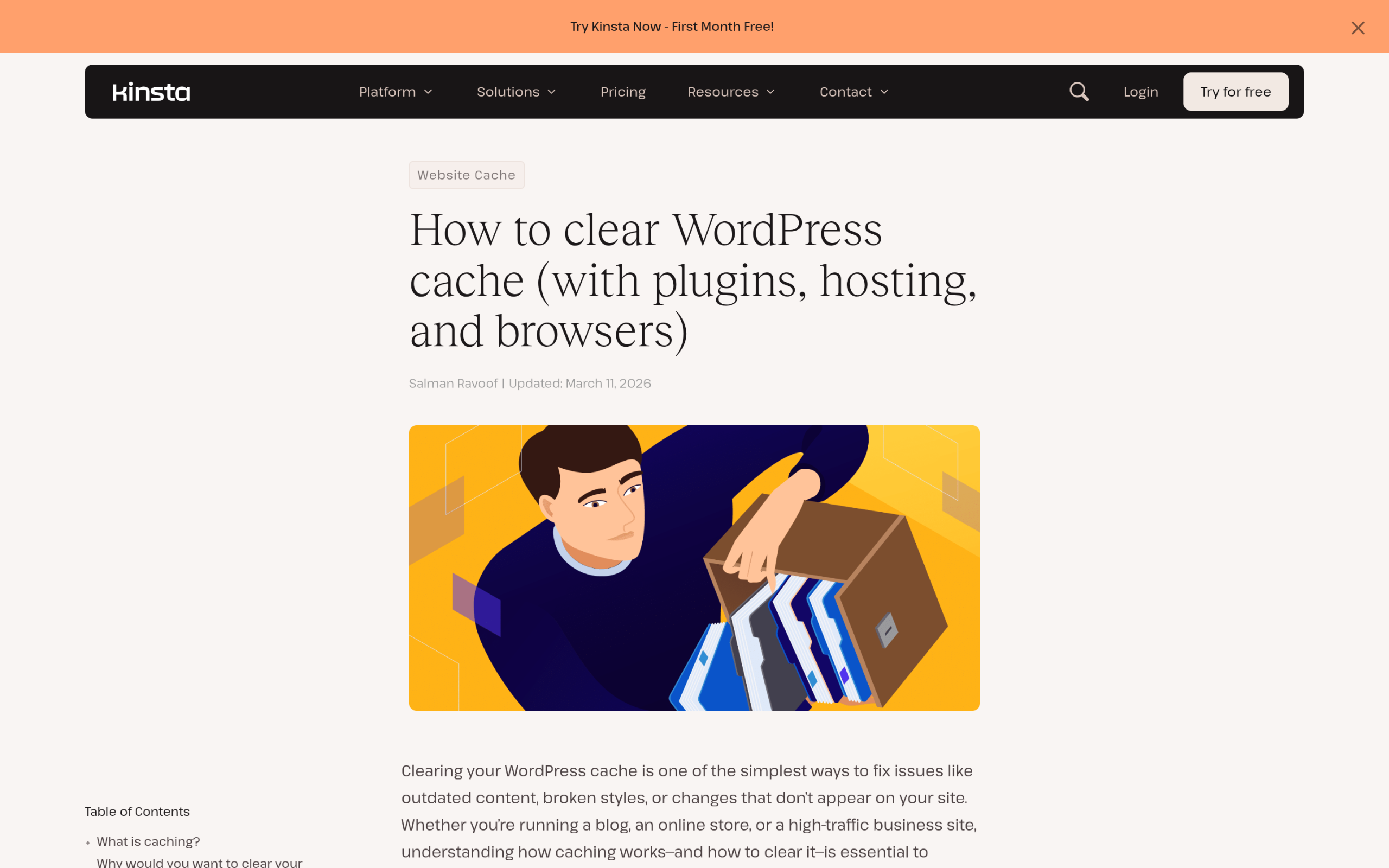 Clear all caches in the Kinsta hosting dashboard