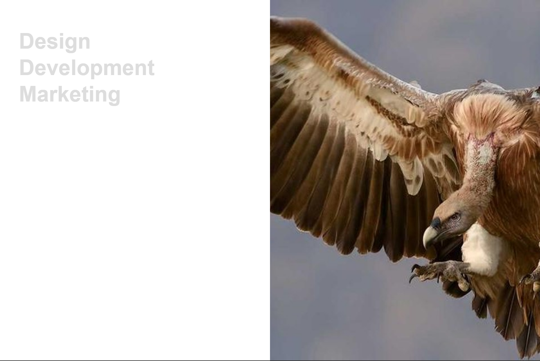 A published portfolio section listing project names beside a preview image
