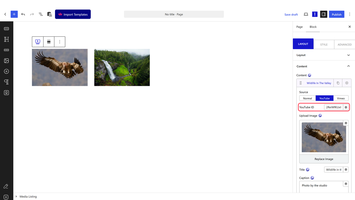 The YouTube ID field on a video item